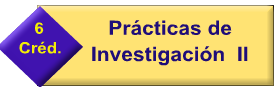 PRACTICAS DE INVESTIGACION II