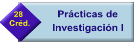 PRACTICAS DE INVESTIGACION I