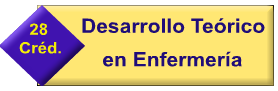 DESARROLLO TEORICO EN ENFERMERIA
